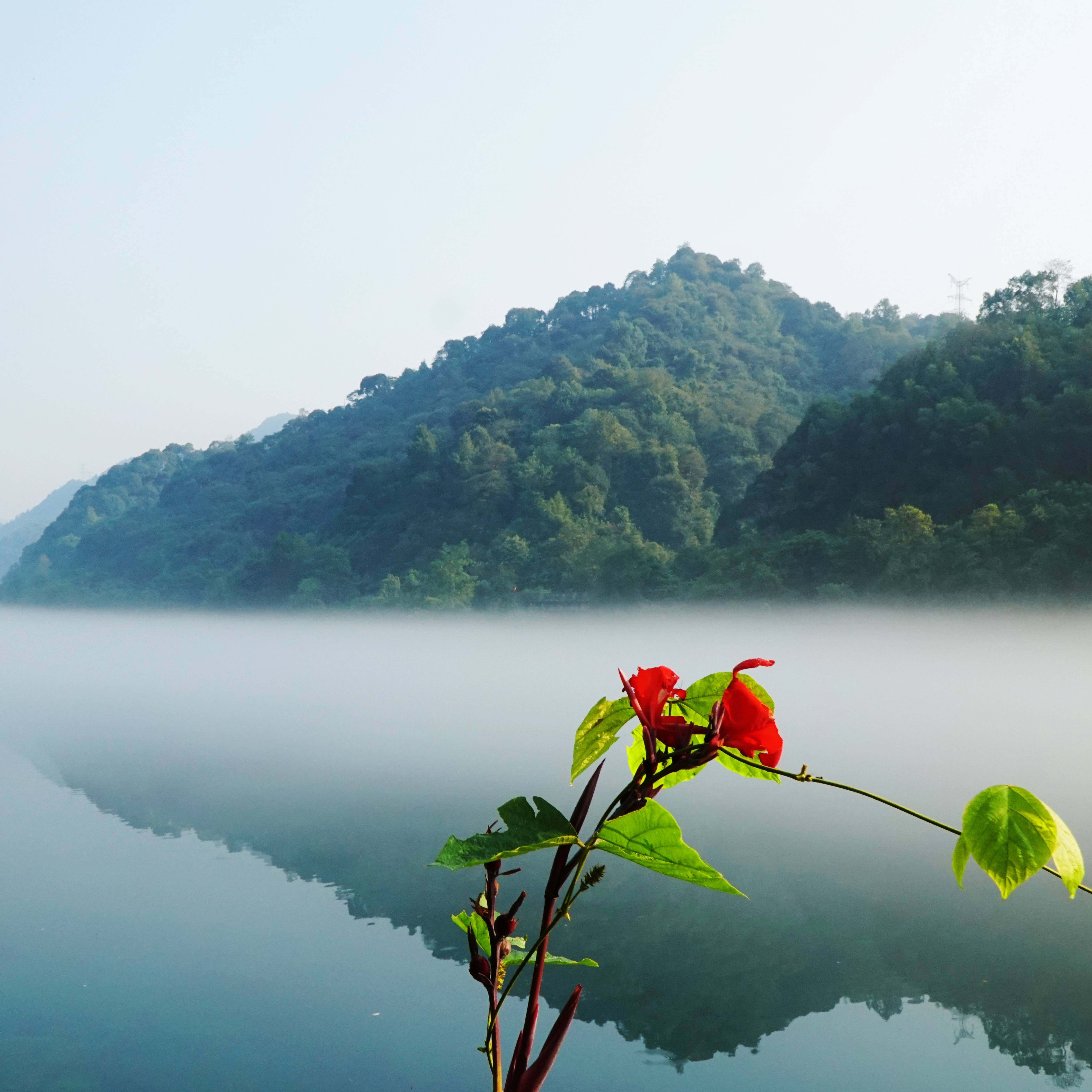 高铁小团【郴州美景3天】莽山五指峰+东江湖观雾+仰天湖+高椅岭