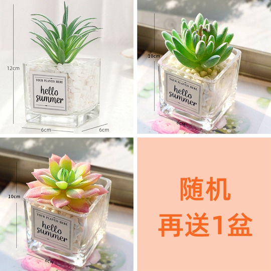 Suculentas Artificiales, Plantas Artificiales, Decoraciones De Pared, Conjuntos Combinados De