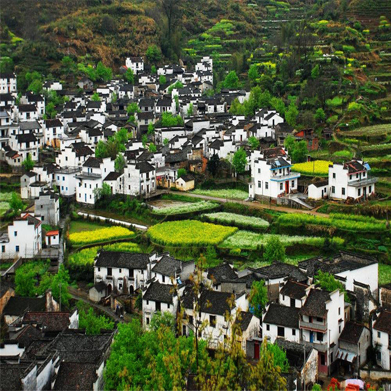 婺源跟团2日游 赏花+古镇+江湾+晓起+ 汪口+李坑+思溪延村+彩虹桥
