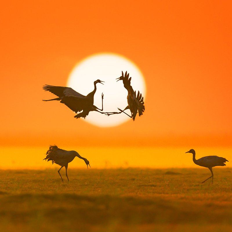 九江出发石钟山+鄱阳湖+龙宫洞一日游1日游赠送鄱阳湖游船2人起发