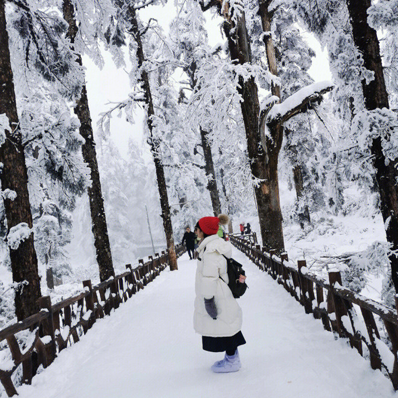 重庆出发 四川瓦屋山2天1晚日游滑雪纯玩柳江古镇亲子赏雪跟团游
