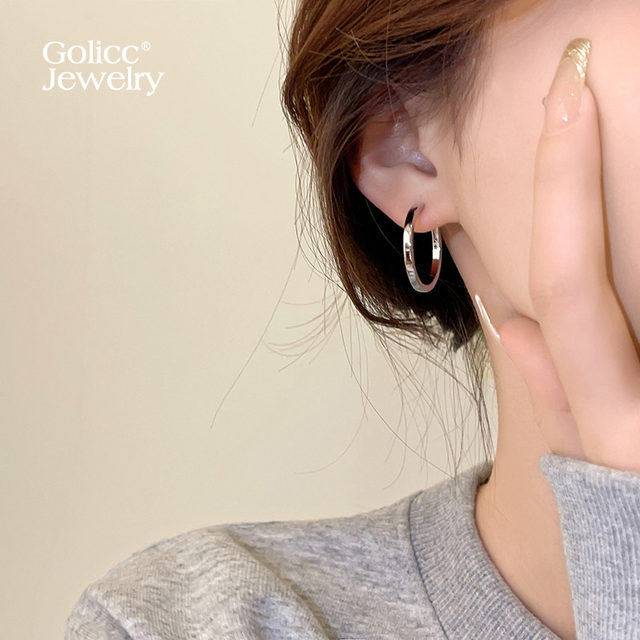 Plain hoop earrings for women, light luxury, high-end, temperament, versatile and atmospheric ear hoops, 2025 new hot style earrings, hoop earrings
