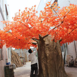 Artificial maple tree red maple tree simulated maple tree garden plant decoration indoor landscape decoration set