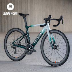 Rock Brothers Carbon Fiber Road Bike T700 Aerodynamic Disc Brake Electric Shifting Competition Handlebar Bike Pegasus