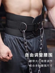 Laura Star Pull-Up Weight-Bearing Belt for Waist Strength Training, Thickened Iron Chain, Parallel Bars, Gym Barbell Plates