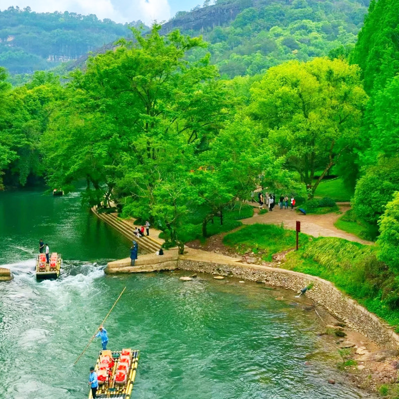 武夷山竹筏漂流有票 九曲溪竹筏漂流私家团1日游大红袍表演接送服