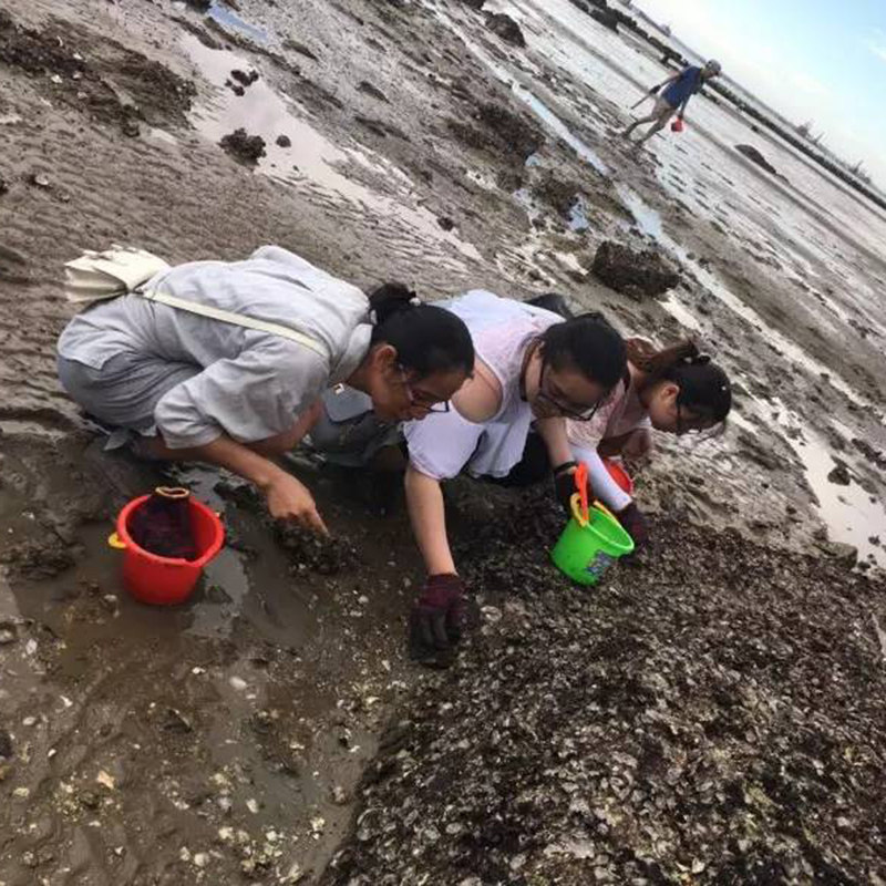厦门出发小嶝岛赶海一日游 厦门五缘湾帆船出海体验赶海抓蟹品尝