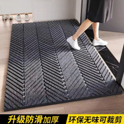 Entrance Door Mat for Home Use 2026 New Model High-Grade Anti-Slip Dust-Removing Water-Absorbing Foot Mat Thickened No-Wash Mat