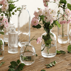 Scandinavian Simple Mini Vase, High-End Creative Hydroponic Vessel, Flower Arrangement, Transparent Glass Decorative Ornaments ins
