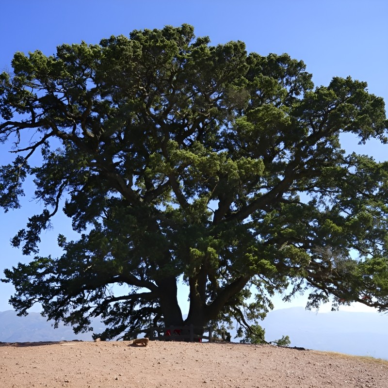 云南昆明旅游私家团东川红土地纯玩无购物一日游摄影之旅包车小团
