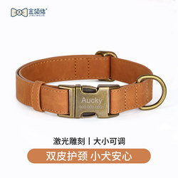 Dog Collar, Small Dog Collar, Engraved Collar, Teddy Dog Collar, Pet-Specific Dog Collar, Puppy Collar, Dog Leash