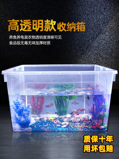 Acquario Trasparente In Vetro Per Pesci Rossi – 25x25x20 Cm, Multifunzione, Per Betta E Piccoli Pesci, Decorativo
