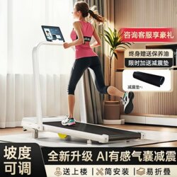 Treadmill for Home Use, Indoor, Small, Foldable, New Model, Walking Machine, Electric, for Weight Loss, Simple, Gym-Specific