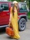 Yang Liping Tripted Yunshang Design the same national style retro embroidery female autumn dress long -sleeved chiffon long skirt
