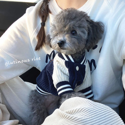 ins Trendy Internet-Famous Dog Autumn and Winter Clothing Korean Style Baseball Jacket for Small Dogs Like Teddy and Cats, Warm Clothing