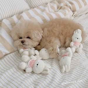 
Ins new Korean rabbit comfort sleeping doll bite and vocalize plush toy pet dog cat relief boredom