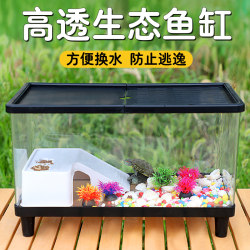 Brazilian turtle breeding tank with lid and terrace