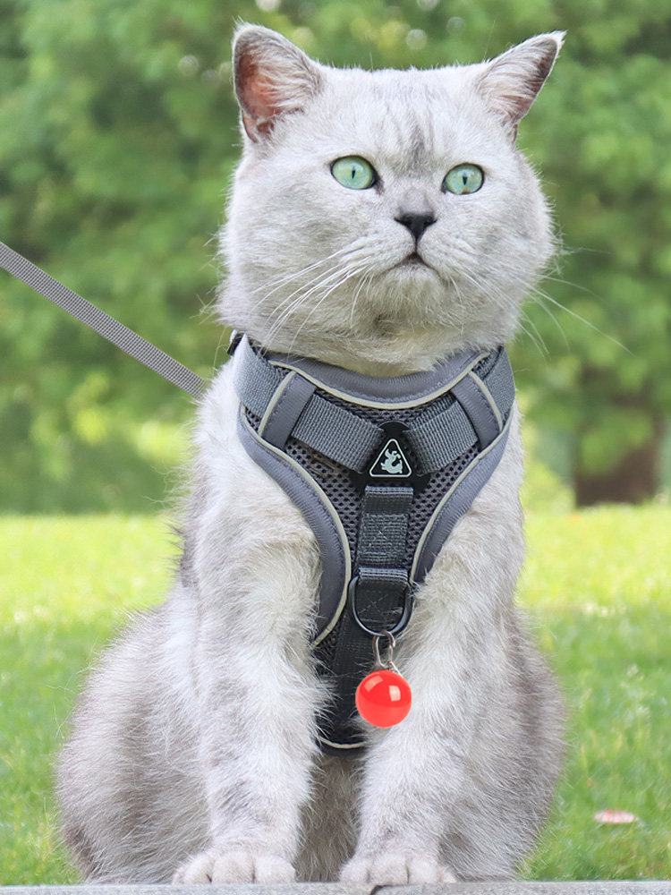 Spoiled Cat Traction Rope Vest - Silver Lace Chain