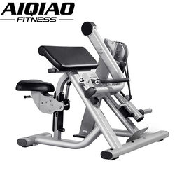 Commercial Full Set of Maintenance-Free Hanging Plate Series Professional Bicep Training Equipment for Gym Studios and Fixed Rigs