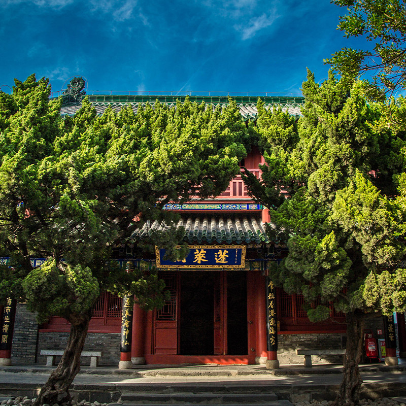 半日游【一单一团】含蓬莱阁门票+八仙雕塑+登州博物馆