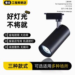 Cob Track Light Led Spotlight Shop High-Brightness Showroom Surface-Mounted Track Light 20W 30W Clothing Store Commercial Use