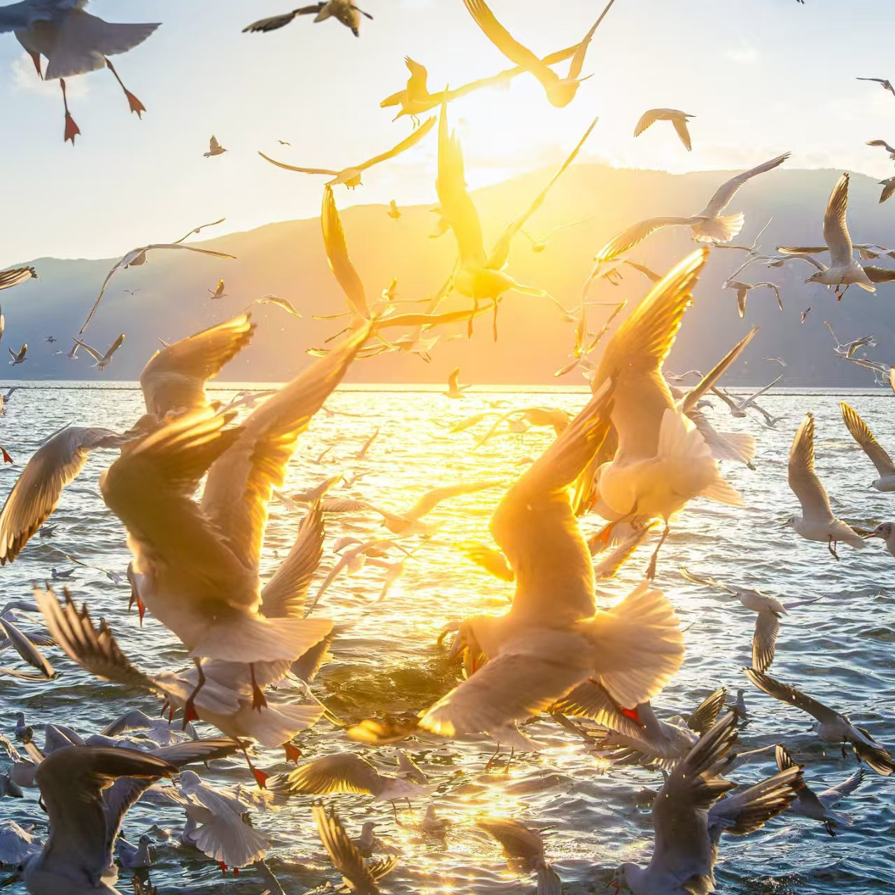 云南旅游6人纯玩高端小团昆明大理丽江年轻人Citywalk品质纯玩团