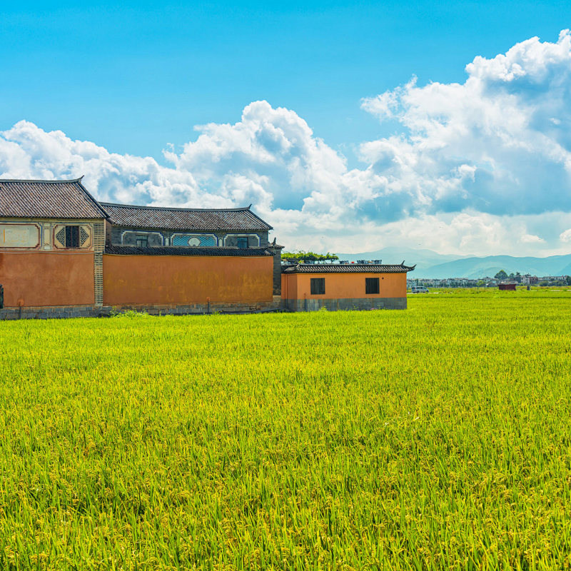 四乘动车·适合长辈出行 云南昆明大理丽江西双版纳纯玩12人小团