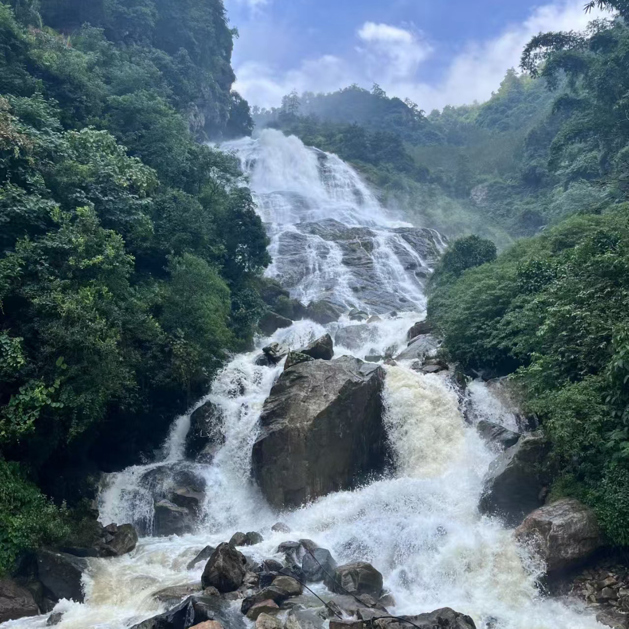 云南哀牢山旅游2天1晚纯玩跟团游含餐含导游观原始森林日出云海