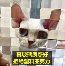 Double-Grid Three-Dimensional Embossed Art Glass Mosaic Cat Pet Funny Photo Personality Creative Photography Props