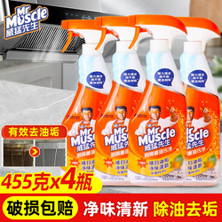 Mr. Mighty Oil Stain Cleaner Kitchen Heavy Oil Stain Remover Powerful Grease Cleaner Household Range Hood Cleaning Agent