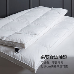 Interstellar Hotel Direct Supply Ultra-Soft Mattress Pad Home Tatami Mattress Pad Backrest Mattress Rental Mattress Pad