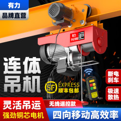Free Shipping by Sf Express Electric Hoist 220V Small Crane Lifting Machine Mobile Type with Track Rail System