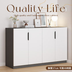 New 2024 Hot-Selling Shoe Cabinet for Home Use, Integrated Wall-Mounted Storage Cabinet for Small Apartments, Indoor Entryway Cabinet