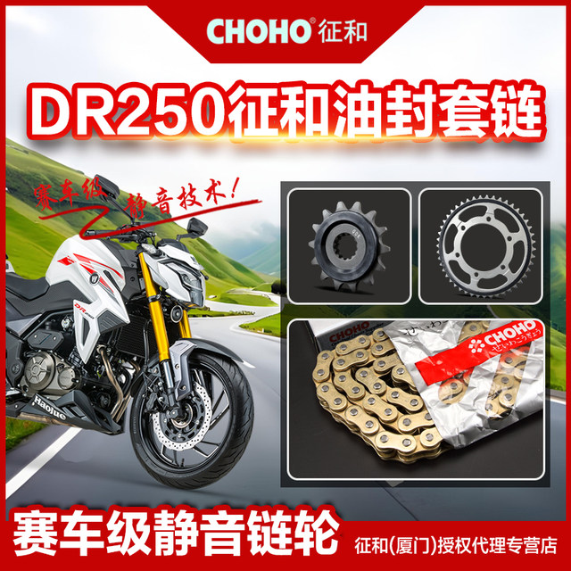 Suitable for Haojue motorcycle DR250 silent chain plate gear sprocket crankshaft and genuine oil seal chain accessories
