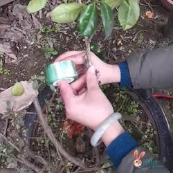 Pvc Industrial Stretch Film, Environmentally Friendly Grafting Film, Packaging Film, Protective Film, Electrostatic Film, Packaging Film, Wire Stretch Film