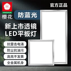 Cherry Blossom Kitchen Light Bathroom Aluminum Ceiling Panel Embedded 30X60X300X600 Flat Panel Light Integrated Ceiling Led Light