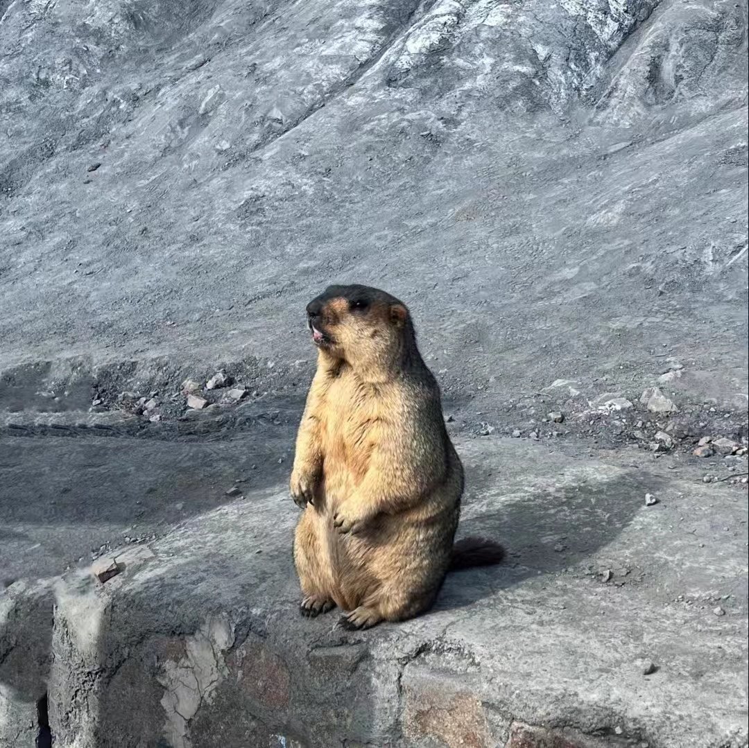 甘孜旅游稻城亚丁5天4晚理塘鱼子西墨石/四姑娘山2-8人团拼车小团