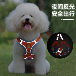 Vest-Style Dog Leash for Small Dogs, Teddy, Bichon, Pomeranian, Pet Harness, Puppy Walking Leash, Dog Collar