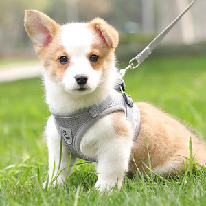 
Dog leash, small and medium-sized dog vest-style harness, dog leash, rope, young pet walking, teddy cat supplies
