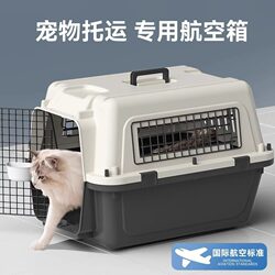 Dog and Cat Travel Crate, Airline Approved Carrier, Car Cage for Teddy, Silver Gradient Ragdoll, Garfield, and Chinchilla