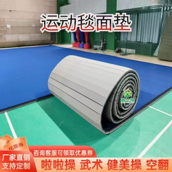Martial Arts Mat, Dance Aerobics, Rhythmic Gymnastics Mat, Roll Mat, Gymnastics Somersault Mat, Cheerleading Competition Mat