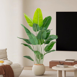 Green Plant Artificial Bird of Paradise Indoor High-End Potted Decorative Ornament Living Room Artificial Plant Floor-Standing Fake Tree