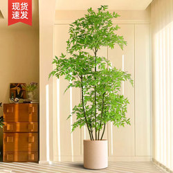 Artificial Nandina Bamboo High-End Luxury Living Room Floor-Standing Large Indoor and Outdoor High-Quality Bonsai Decoration Fake Tree