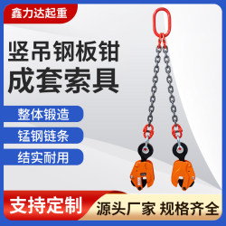 Special Vertical Lifting Clamp for Steel Plates, Rigging Combination, Vertical Lifting Device, Iron Plate Tool, Hook Clamp