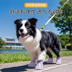 Border Collie Special Shoes for All Seasons, Mesh Shoes for Dogs, Waterproof, Anti-Slip, Soft Sole, Breathable for Outdoor Use