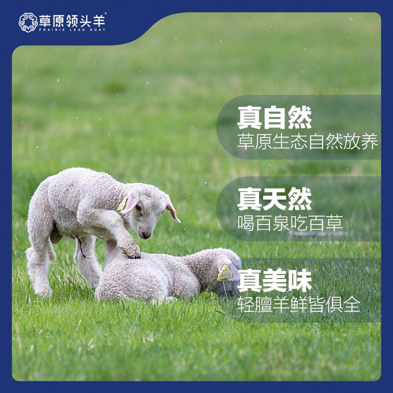 草原领头羊 原切新鲜半羊礼盒10斤（羊前腿1kg+羊蝎子1.5kg+羊排1kg+羊后腿1.5kg）天猫优惠券折后￥349包邮