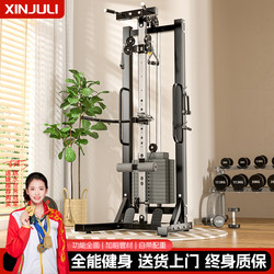 Home-Use All-In-One Comprehensive Fitness Training Equipment High Pull Chest Press Strength Unilateral Small Bird-Of-Prey Multifunctional Gantry