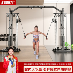 Large Flying Bird Gantry Comprehensive Training Device, Fitness Home Equipment, Cross Chest Clamp, Multi-Functional All-In-One Sports Equipment