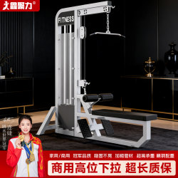 Professional Commercial High Pull-Down and Low Pull-Down All-In-One Training Machine for Back Muscle Training, Gym-Specific Equipment