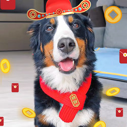 Extra Large Pet Scarf to Keep Kittens and Puppies Warm, Year of the Horse Animal Accessories, Pet Supplies, Winter Fashion Scarf